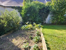 Pleurtuit coté Dinard, maison en pierre  de 129m² offrant un superbe séjour, 4 chambres, un bureau et joli jardin sud.