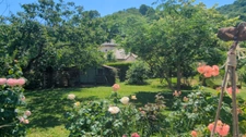 Maison individuelle à vendre - CRAS -  Proche Tullins. 3 chambres + bureau + local indépendant sur 1400 m² de terrain 