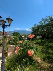 Maison individuelle à vendre - CRAS -  Proche Tullins. 3 chambres + bureau + local indépendant sur 1400 m² de terrain 