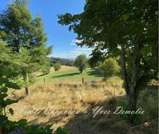 Ensemble immobilier de caractère à rénover, avec grange, au cœur de la nature – Le Vernet-la-Varenne