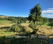 Ensemble immobilier de caractère à rénover, avec grange, au cœur de la nature – Le Vernet-la-Varenne
