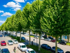 Honfleur centre ville - Appartement de type T2 - 52.30 m2 - 1 chambre - 1er étage sans ascenseur - Parking à proximité