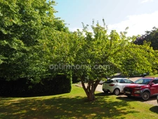 Honfleur – Grand T2 lumineux - Plain pied – 55 m² - 1 chambre - Parking