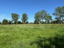 A mi chemin entre Blangy le Chateau et Lisieux - Propriété Equestre - 14 ha d'herbages - 15 boxes - Hangar - Maison de MAitre de plus de 200 m2 - Maison de gardien de 59 m2