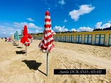 Très agréable studio meublé à vendre à deux pas de la plage - Cave - Emplacement recherché !