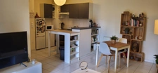 Appartement à vendre T3 avec grand jardin ROQUES (31)