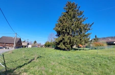 Terrain à vendre de 1 591,00 m² VIUZ EN SALLAZ (74)