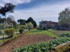 MAISON DE MAITRE AVEC  DEPENDANCES DEUX PIGEONNIERS SUR PARC DE 5000M²