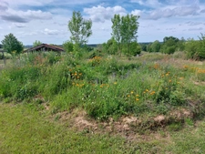 CORPS DE FERME AVEC DÉPENDANCES SUR TERRAIN DE 2 Ha 16 a 90 ca AUX ALLURES DE CAMPING !