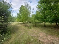 CORPS DE FERME AVEC DEPENDANCES ET GRAND MOBILHOME SUR TERRAIN SUR VEGETALISE DE 2ha16a90ca aux allures de camping! 250000€