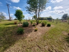 CORPS DE FERME AVEC DEPENDANCES ET GRAND MOBILHOME SUR TERRAIN SUR VEGETALISE DE 2ha16a90ca aux allures de camping! 250000€
