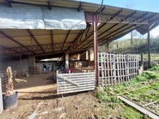CORPS DE FERME AVEC 2 MAISONS RENOVEES ET NOMBREUSES DEPENDANCES A 10 MINUTES D'ALBI SUD 