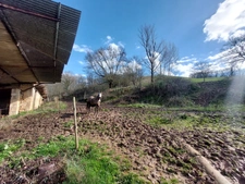 CORPS DE FERME AVEC 2 MAISONS RENOVEES ET NOMBREUSES DEPENDANCES A 10 MINUTES D'ALBI SUD 