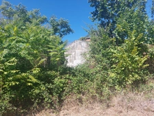 ANCIENNE MAISON BOURGEOISE EN PIERRE A RENOVER ENTIEREMENT AVEC SA GRANDE FORET