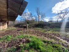 CORPS DE FERME AVEC 2 MAISONS RENOVEES ET NOMBREUSES DEPENDANCES A 10 MINUTES D'ALBI SUD 