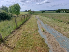 CORPS DE FERME AVEC DEPENDANCES ET GRAND MOBILHOME SUR TERRAIN SUR VEGETALISE DE 2ha16a90ca aux allures de camping! 250000€