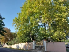 MAISON DE MAITRE  RENOVEE AVEC DEPANDANCES  EN FUTUR GITE ET PARC ARBORE  