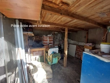 CORPS DE FERME AVEC PIGEONNIER DEPENDANCES +LOCAL COMMERCIAL + STOCKAGE+ TERRAIN EN UA2  319900€