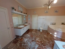 MAISON DE MAITRE  RENOVEE AVEC DEPANDANCES  EN FUTUR GITE ET PARC ARBORE  