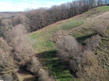 CORPS DE FERME AVEC 2 MAISONS RENOVEES ET NOMBREUSES DEPENDANCES A 10 MINUTES D'ALBI SUD 