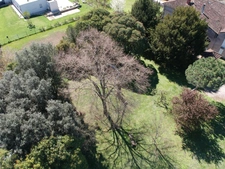 MAISON DE MAITRE AVEC  DEPENDANCES DEUX PIGEONNIERS SUR PARC DE 5000M²