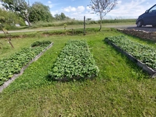 CORPS DE FERME AVEC DEPENDANCES ET GRAND MOBILHOME SUR TERRAIN SUR VEGETALISE DE 2ha16a90ca aux allures de camping! 250000€