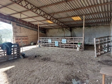 CORPS DE FERME AVEC 2 MAISONS RENOVEES ET NOMBREUSES DEPENDANCES A 10 MINUTES D'ALBI SUD 