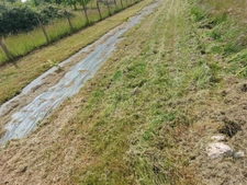 CORPS DE FERME AVEC DEPENDANCES ET GRAND MOBILHOME SUR TERRAIN SUR VEGETALISE DE 2ha16a90ca aux allures de camping! 250000€