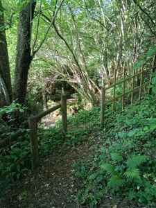 Maison Chalet en Rondin  6 pièces WEGSCHEID (68)