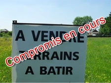 A vendre en exclusivité, proche de la Belgique et du Luxembourg, trois beaux terrains à bâtir viabilisés !