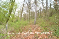 Maison individuelle 230 m² habitables (5 chambres) – Terrain 6 341 m² – Environnement nature – Dun-sur-Meuse