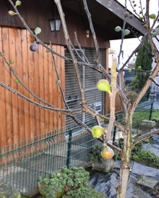 Maison à vendre 5 pièces TRUCHTERSHEIM (67)
