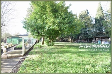 Maison 130 m2 à rénover sur un terrain constructible d'environ 700 m2 - 11320