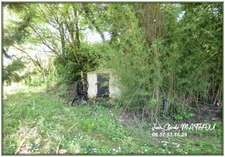 Ferme 220 m2 2 habitations T4 et T3 avec 240 m2 de dépendances sur terrain arboré 8500 m2 - 11320