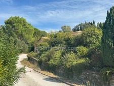 Saint-Rémy-de-Provence – Maison avec piscine, studio indépendant et terrain de 3 000 m²