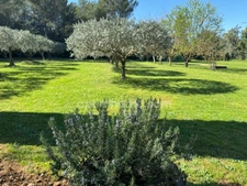 Maison Provençale au coeur des Alpilles
