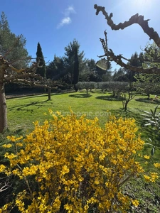 Maison Provençale au coeur des Alpilles