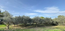 Maison à SAINT REMY DE PROVENCE avec vue Alpilles