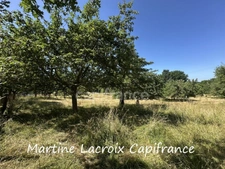 Dpt SARTHE (72), for sale near LA FERTE BERNARD - PROPERTY AND OUTBUILDINGS - MEADOWS of 11 HECTARES