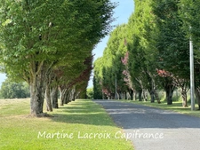 Sarthe (72), for sale in Cormes - 8-room property of 226 m² - 2.50 ha of land
