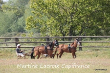 Dpt SARTHE (72), à vendre LA FERTÉ-BERNARD - PROPRIÉTÉ  P5 de 100 m² - Terrain de 10 Ha