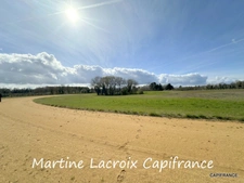 Dpt SARTHE (72), à vendre LA FERTÉ-BERNARD - PROPRIÉTÉ  P5 de 100 m² - Terrain de 10 Ha