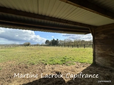 Dpt SARTHE (72), à vendre LA FERTÉ-BERNARD - PROPRIÉTÉ  P5 de 100 m² - Terrain de 10 Ha