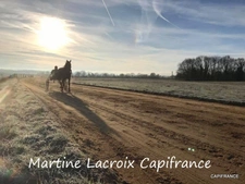 Dpt SARTHE (72), à vendre LA FERTÉ-BERNARD - PROPRIÉTÉ  P5 de 100 m² - Terrain de 10 Ha