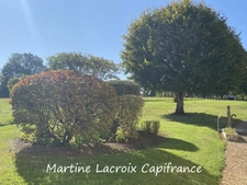 Sarthe (72), for sale in Cormes - 8-room property of 226 m² - 2.50 ha of land