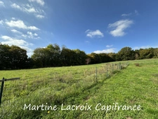 Dpt SARTHE (72), BONNÉTABLE - PROPRIÉTÉ  P8 de 200 m² - Terrain de 1,60 Ha 