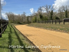 Dpt SARTHE (72), à vendre LA FERTÉ-BERNARD - PROPRIÉTÉ  P5 de 100 m² - Terrain de 10 Ha