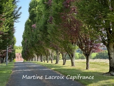 Sarthe (72), for sale in Cormes - 8-room property of 226 m² - 2.50 ha of land