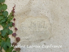 Dpt SARTHE (72), for sale near LA FERTE BERNARD - PROPERTY AND OUTBUILDINGS - MEADOWS of 11 HECTARES