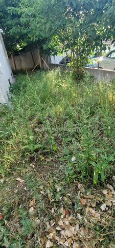 REZ DE JARDIN T2 AVEC PARKING!